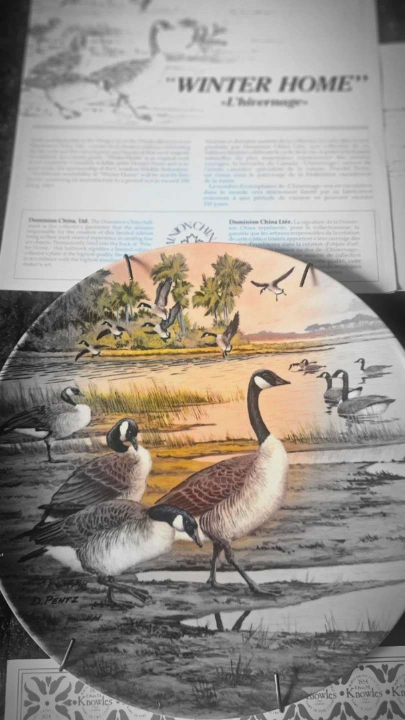 Collectable Vintage Plates in perfect  condition.
