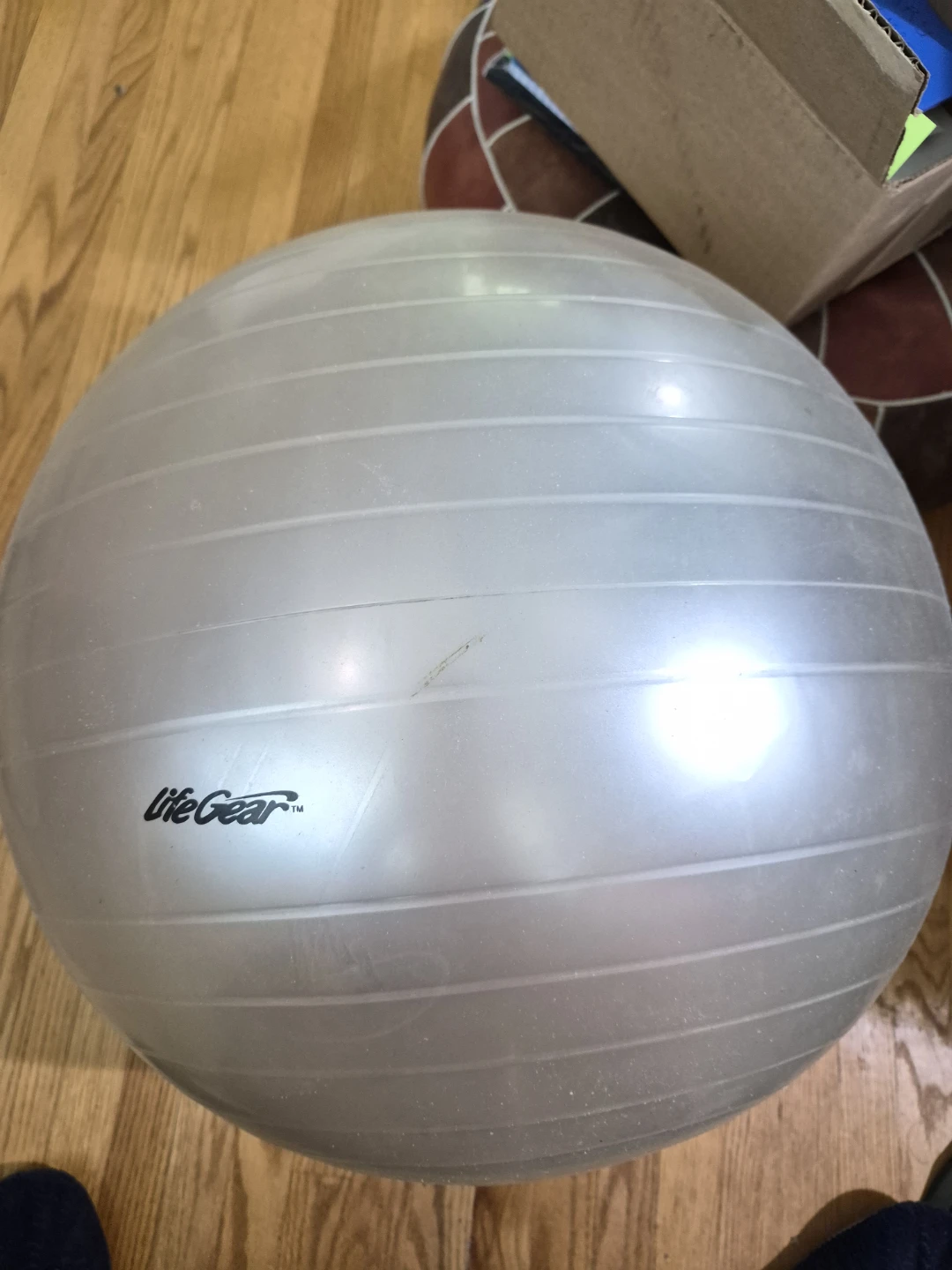Life Gear Exercise Ball