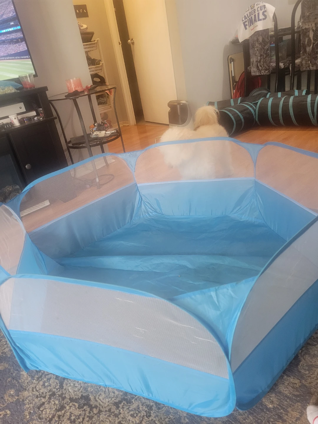 Blue Pop Up Play Pen for Pets