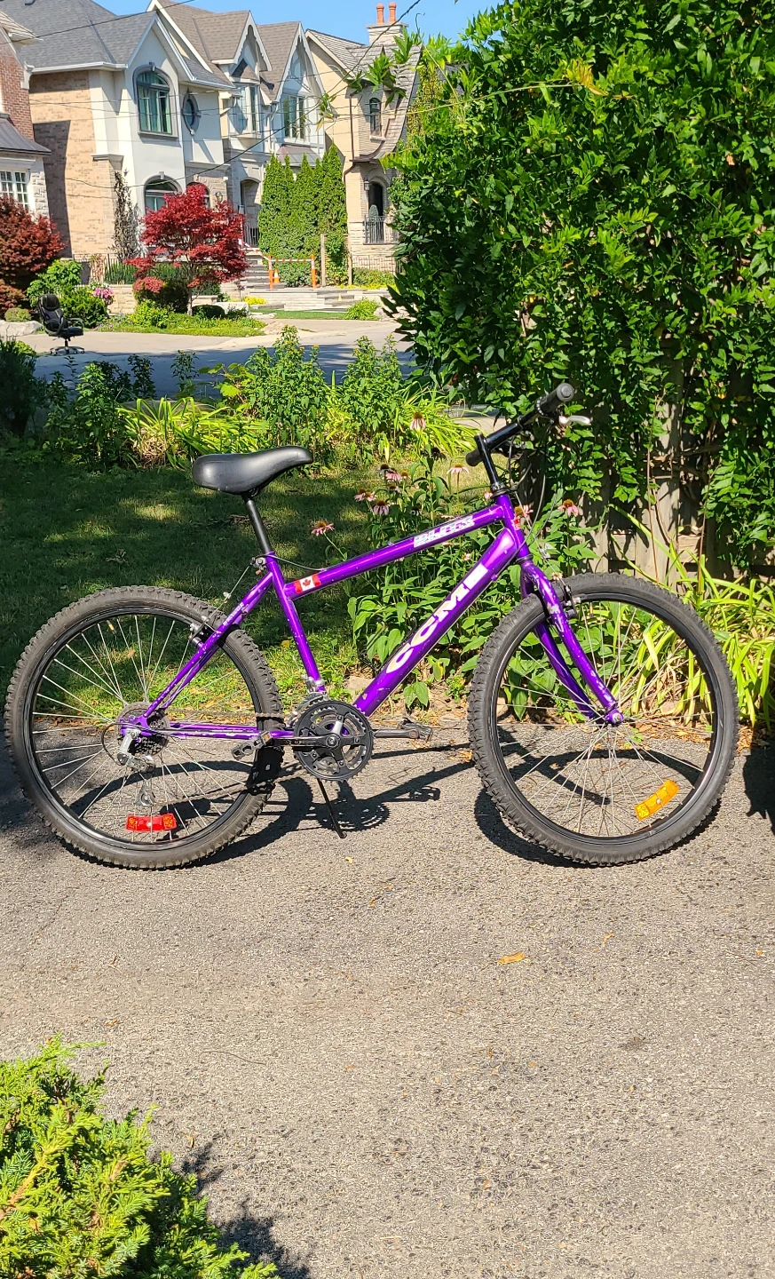 Mountain Bike CCM Blitz Oversize Frame, 21 Speed Good Condition