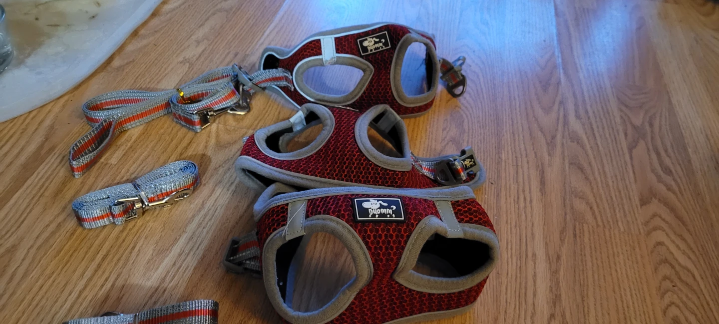 Dog Harnesses and Leashes - XS - photo 3