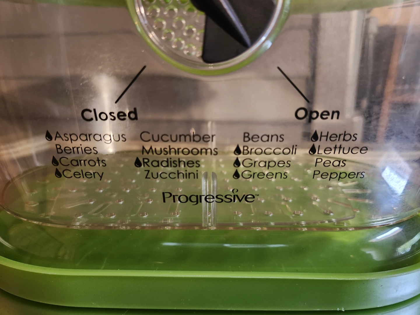 Progressive Produce Saver Container - photo 4
