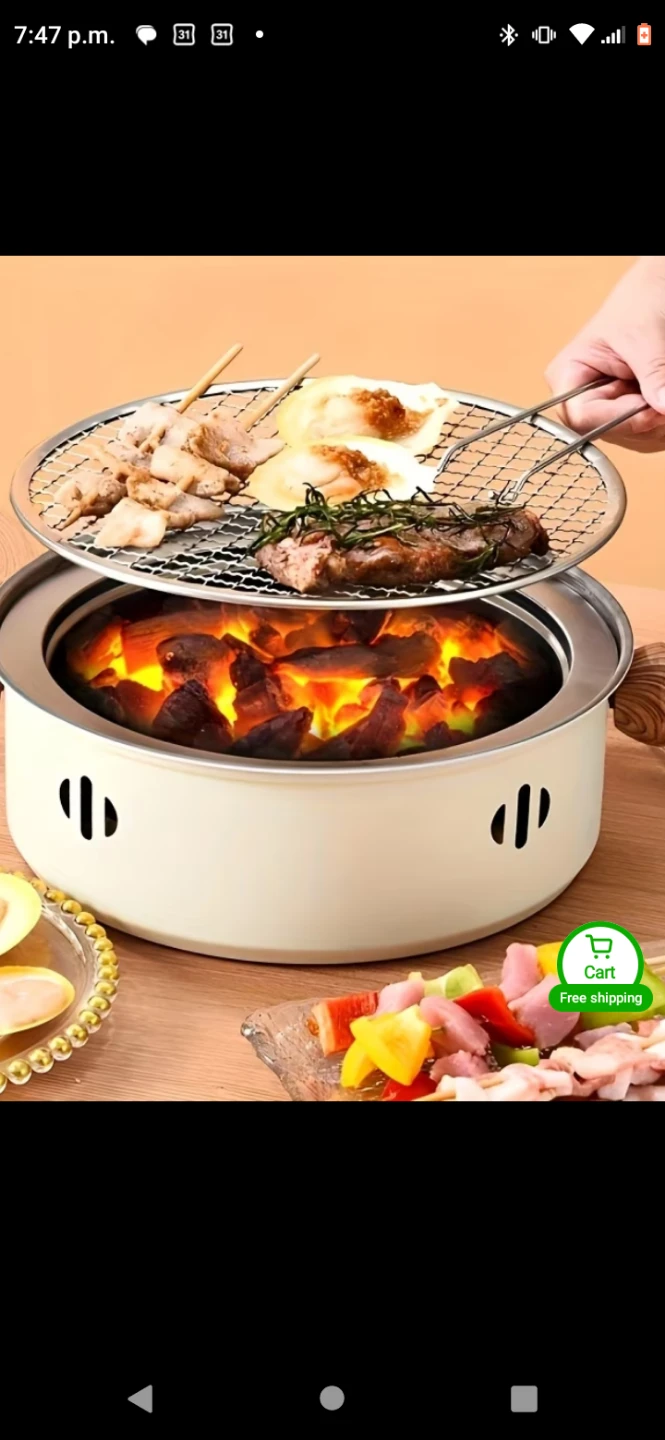 Portable Charcoal Grill