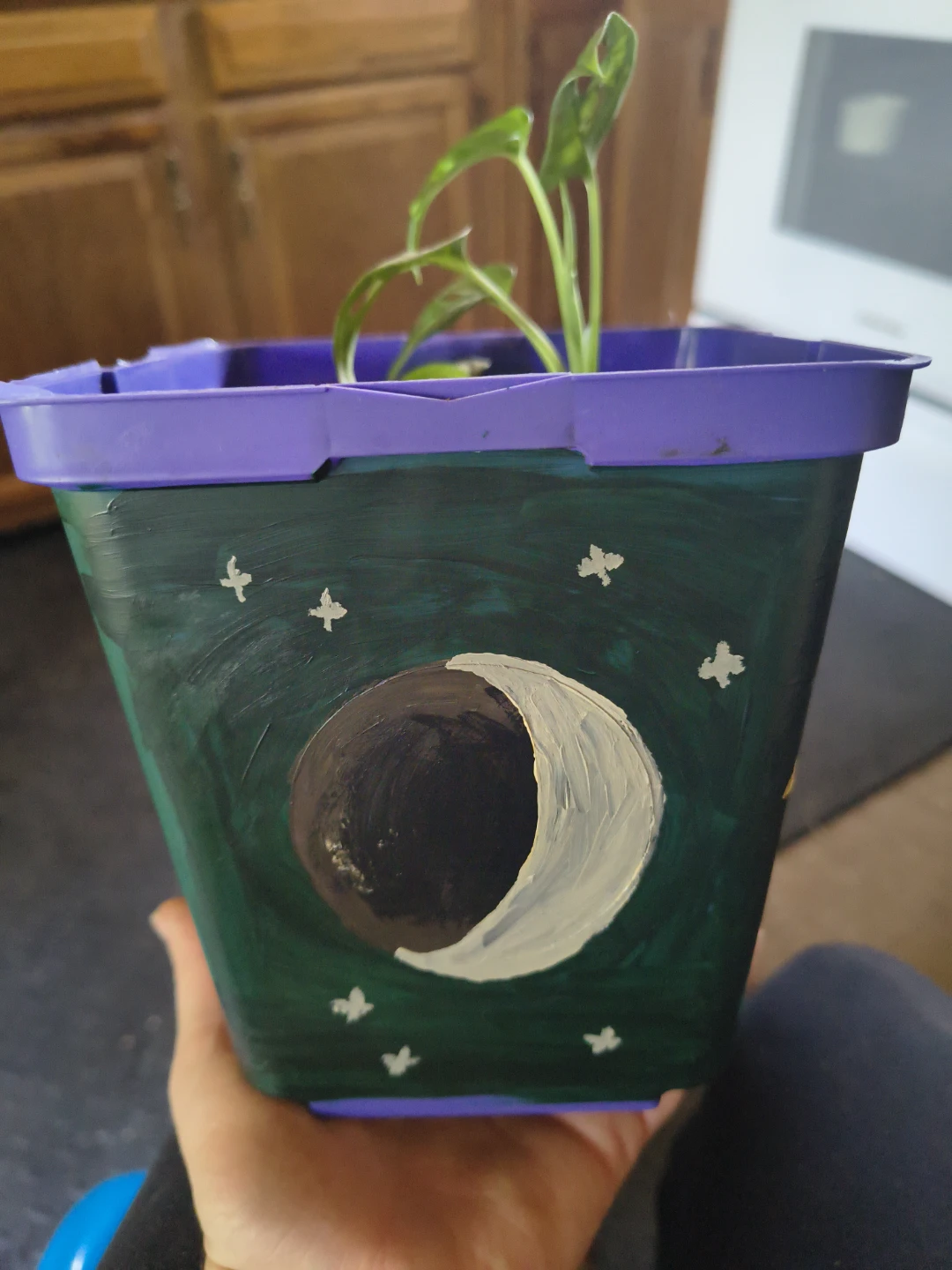 Small Monstera Plant in Hand-Painted Moon Cycles Pot