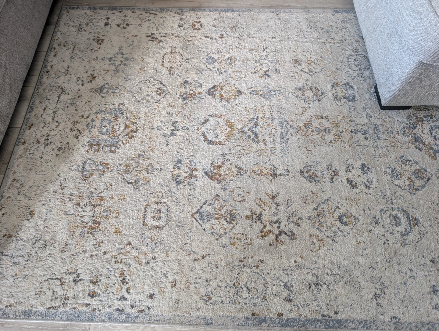 Area Rug with Traditional Pattern