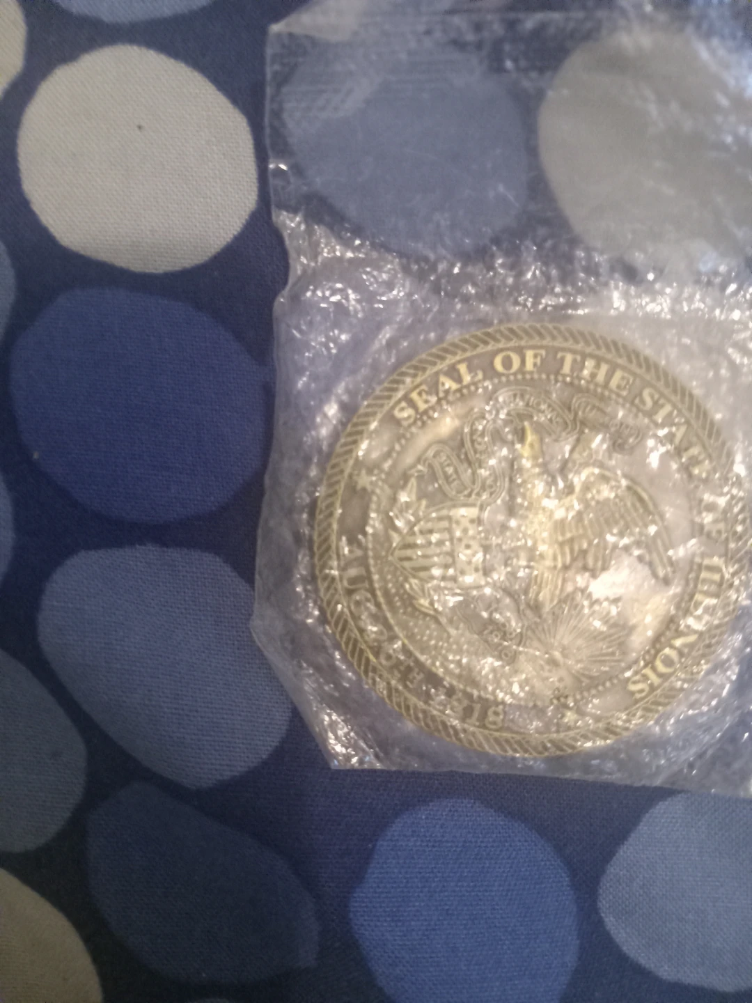 Illinois State Seal Medallion - photo 2