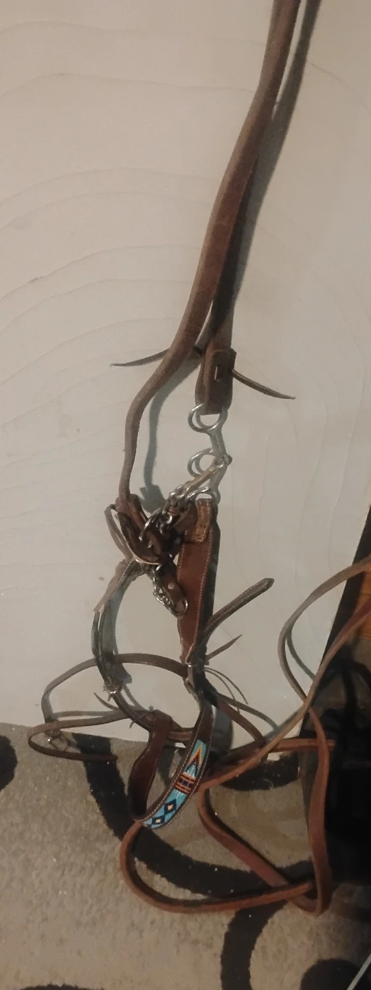 3 Leather Horse Bridle and Bit Set - photo 4
