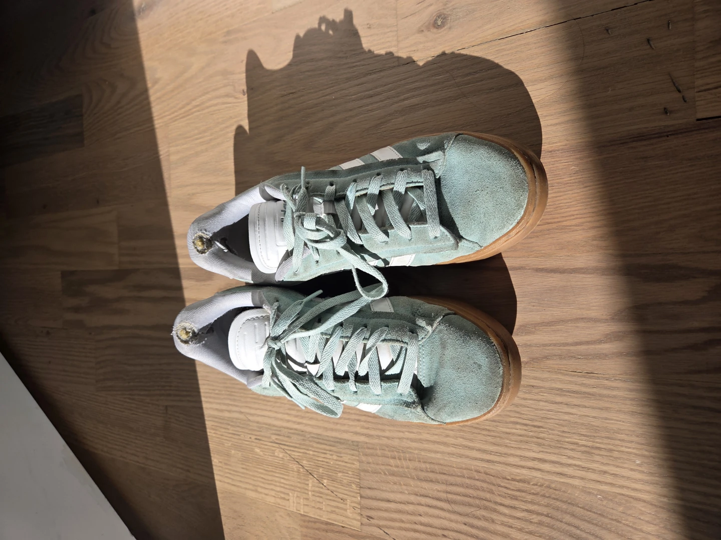 Adidas Low Top Sneakers