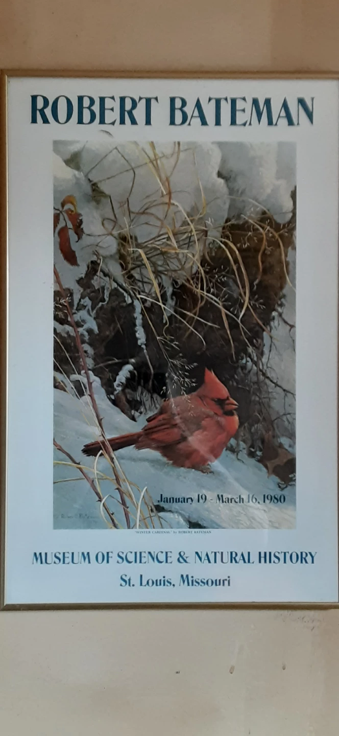 Robert Bateman Winter Cardinal Exhibition