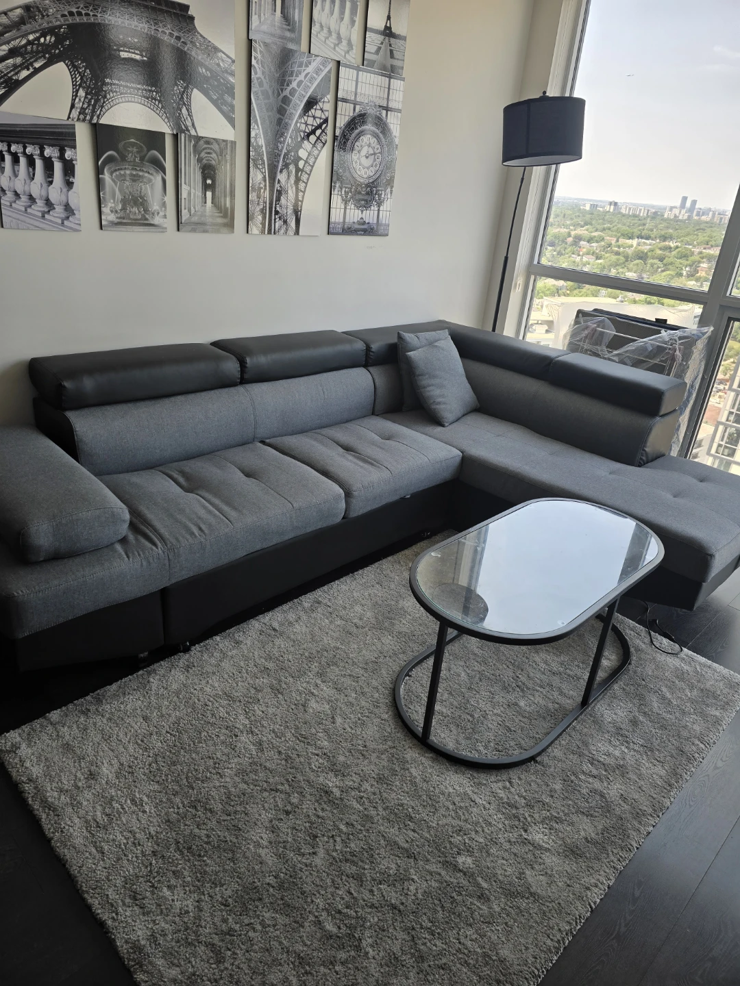 Sofa Bed and Rug Coffee Table Set