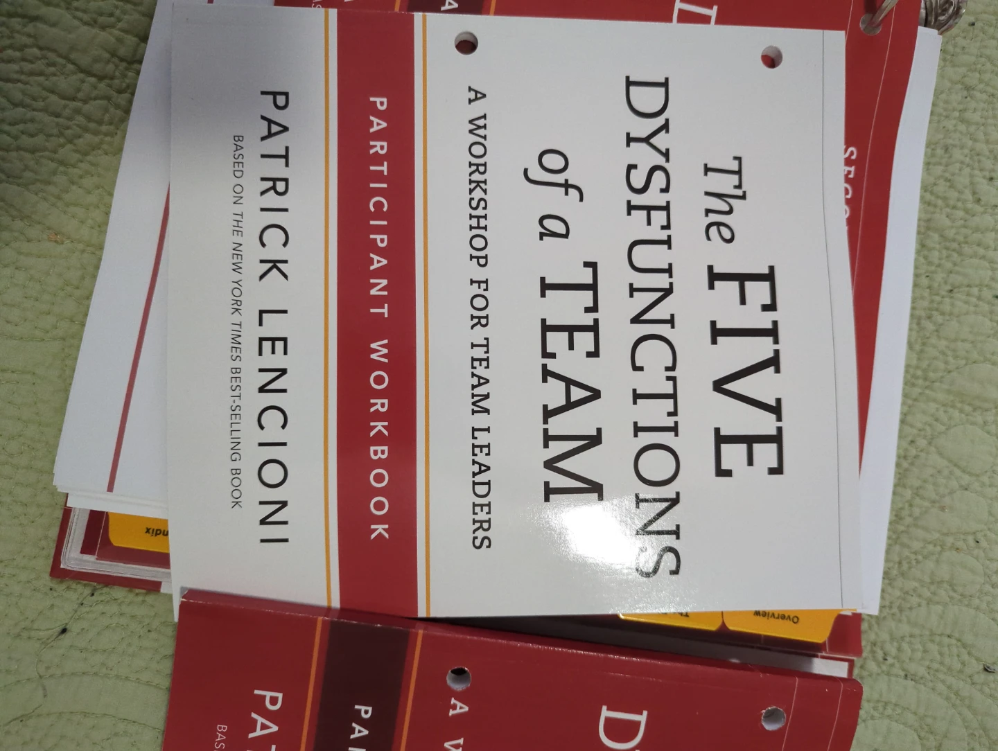 Patrick Lencioni The Five Dysfunctions of a Team Book Set - photo 3