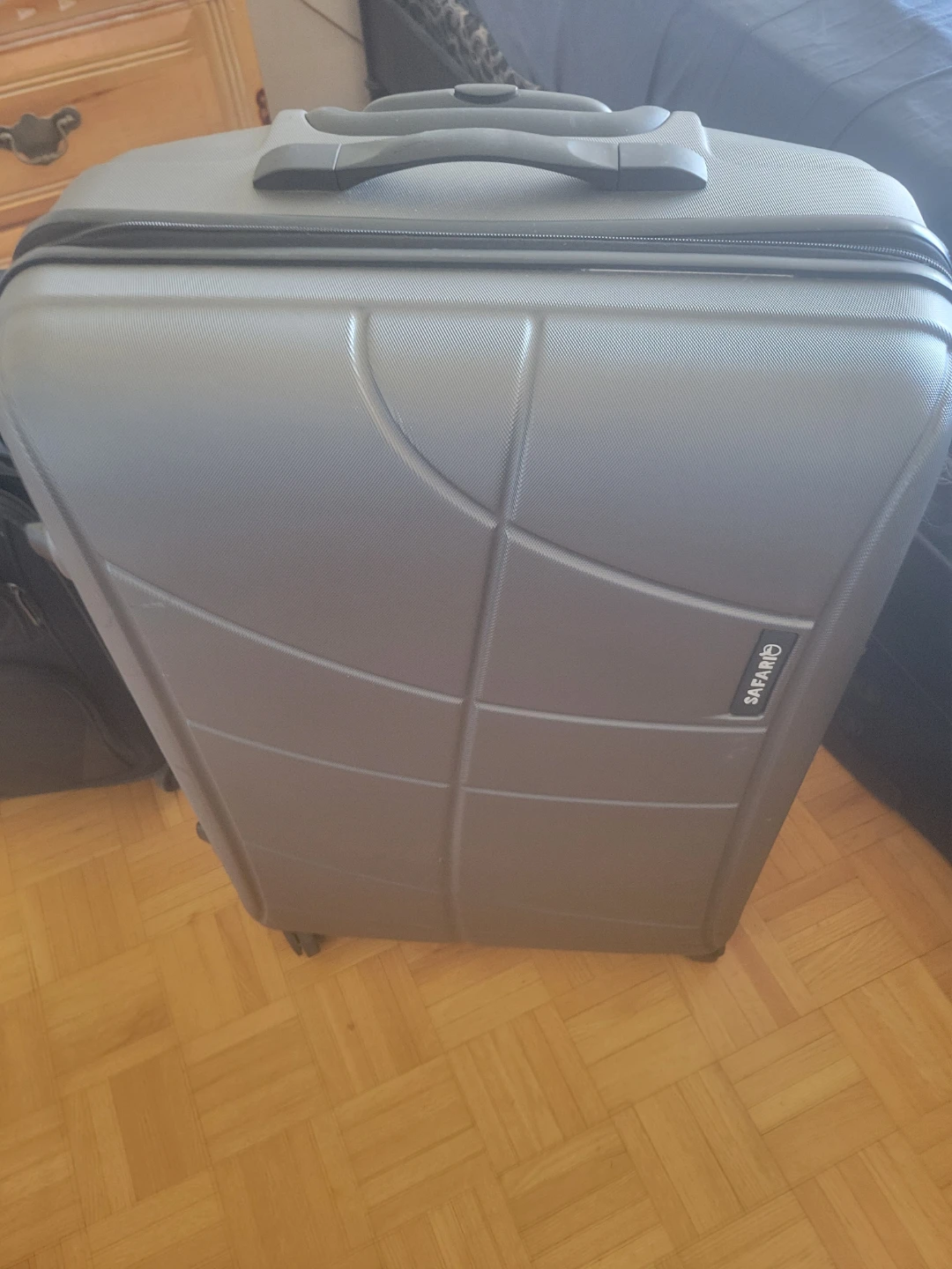 Safari Grey Hardside Spinner Luggage