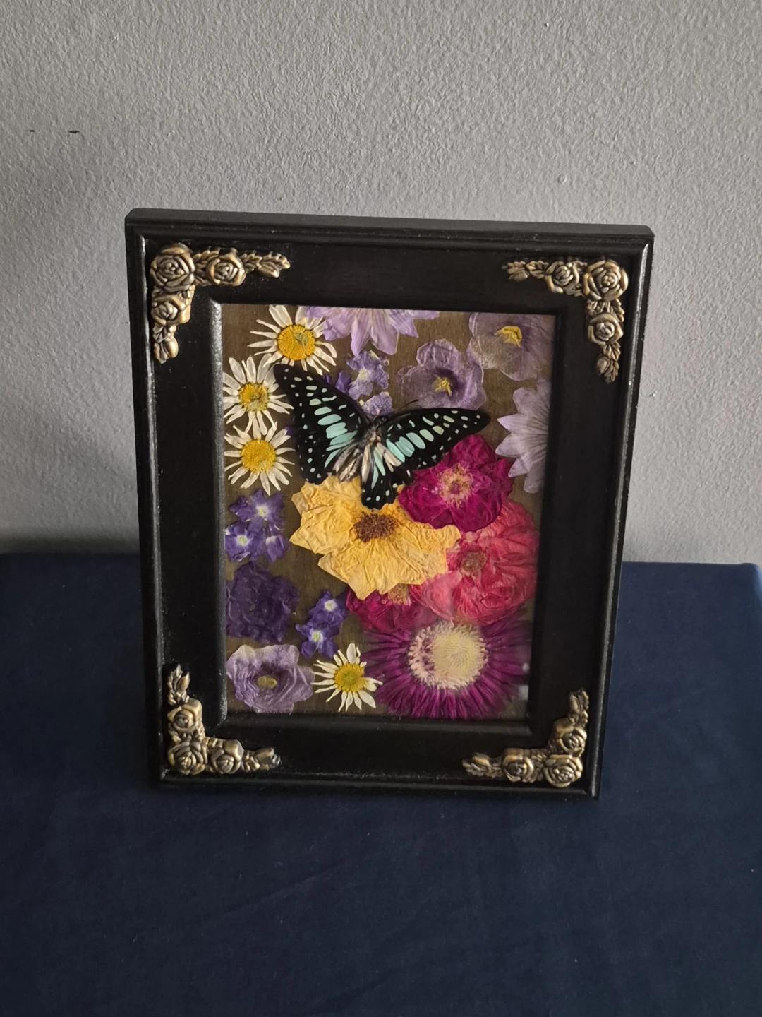 Common Jay with Vintage MCM frame