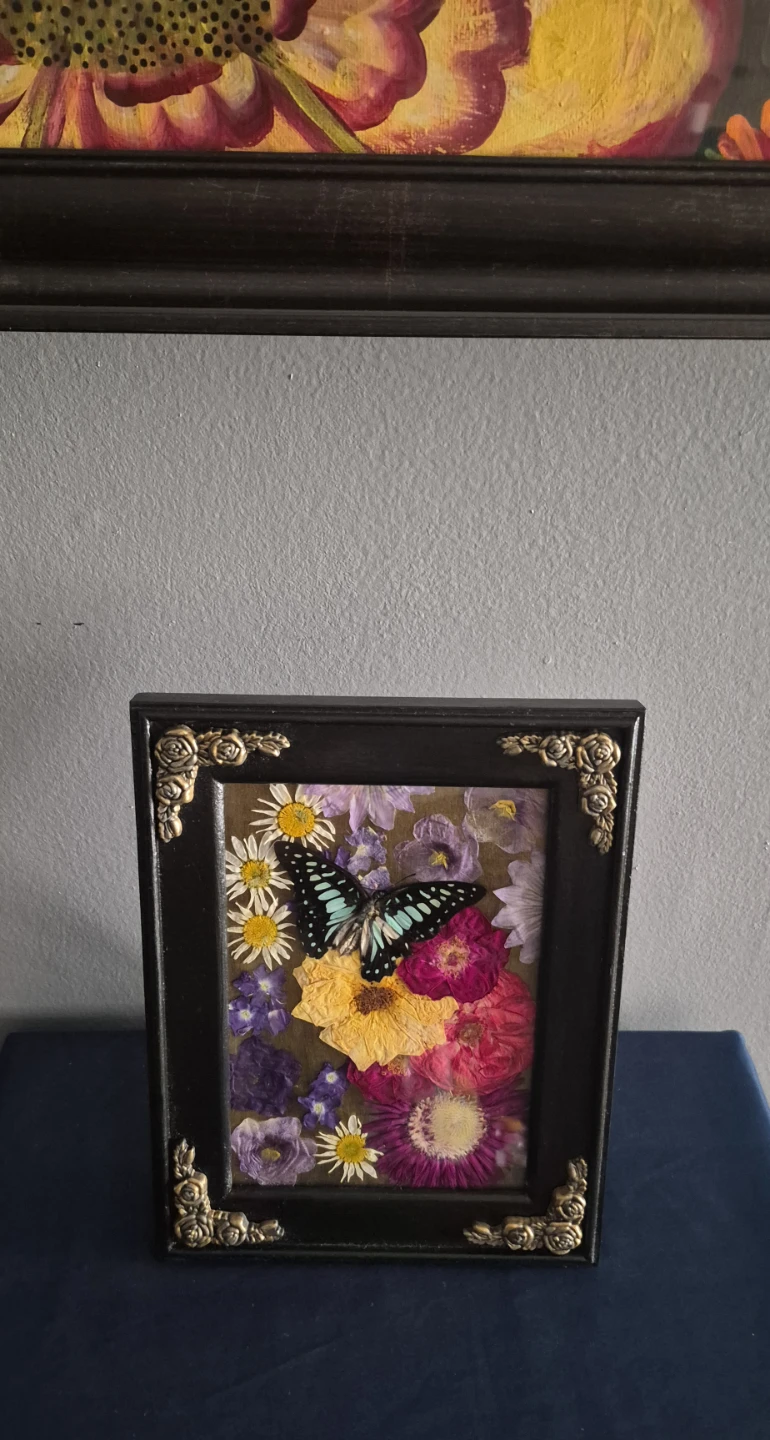 Common Jay with Vintage MCM frame - photo 2
