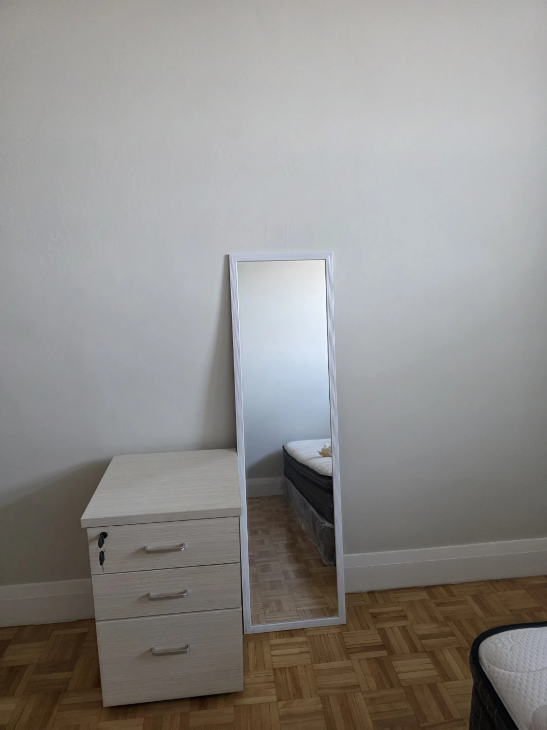 White Full Length Mirror/ you get both .