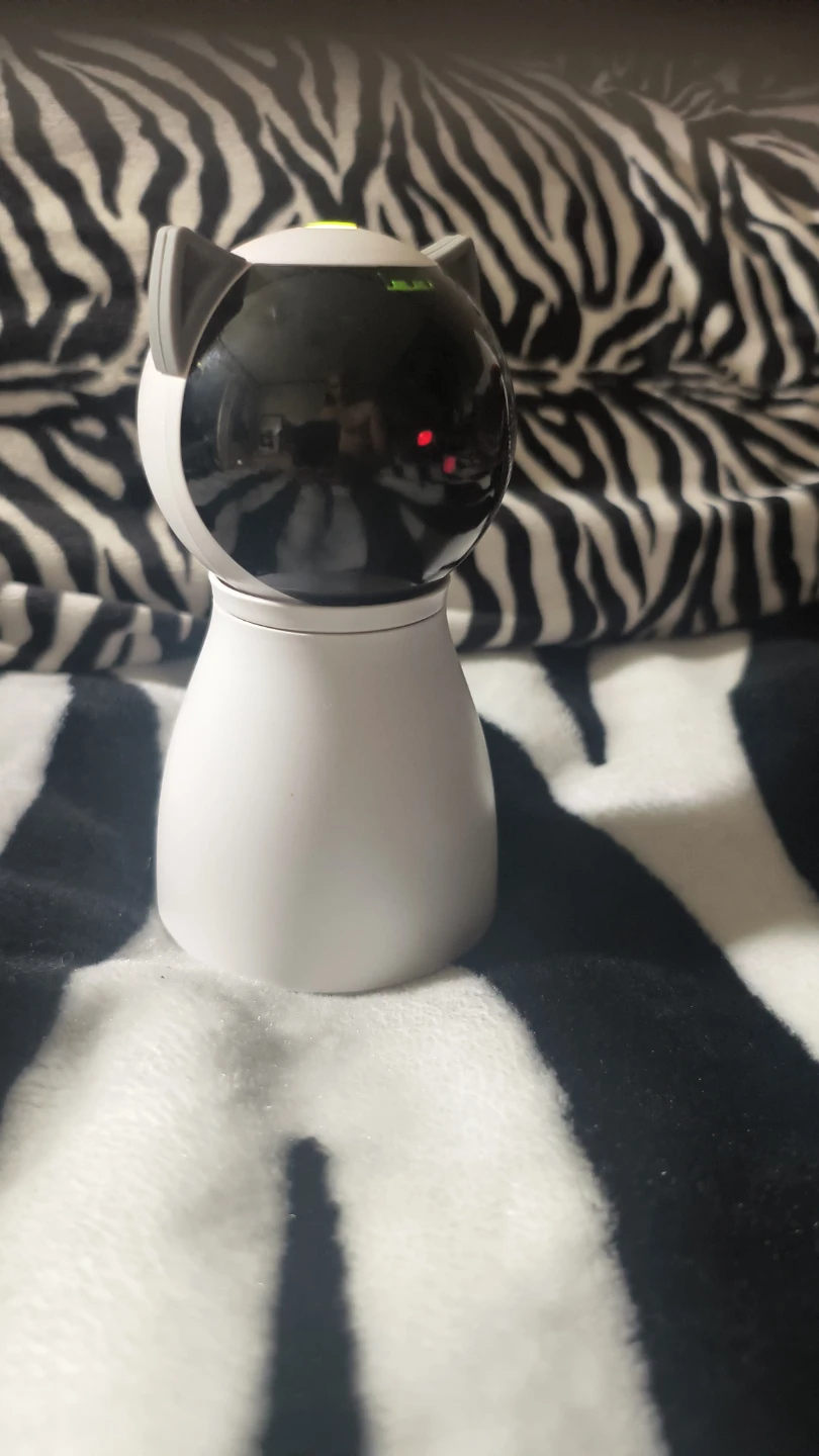 Cat toy laser