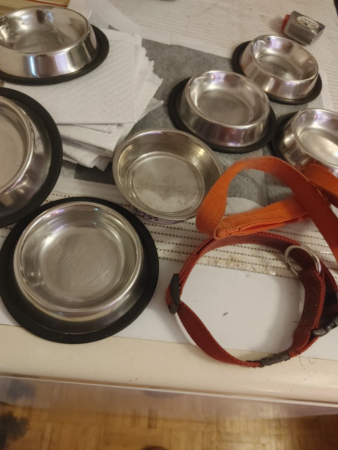 Pet bowls/ 11 pee pads leash & dog collar