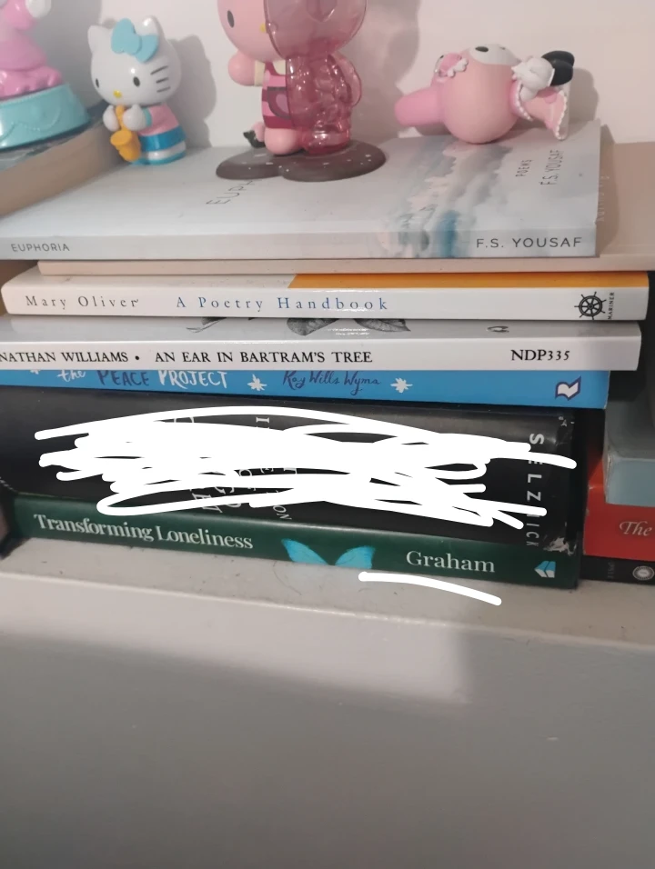 More books! - photo 4
