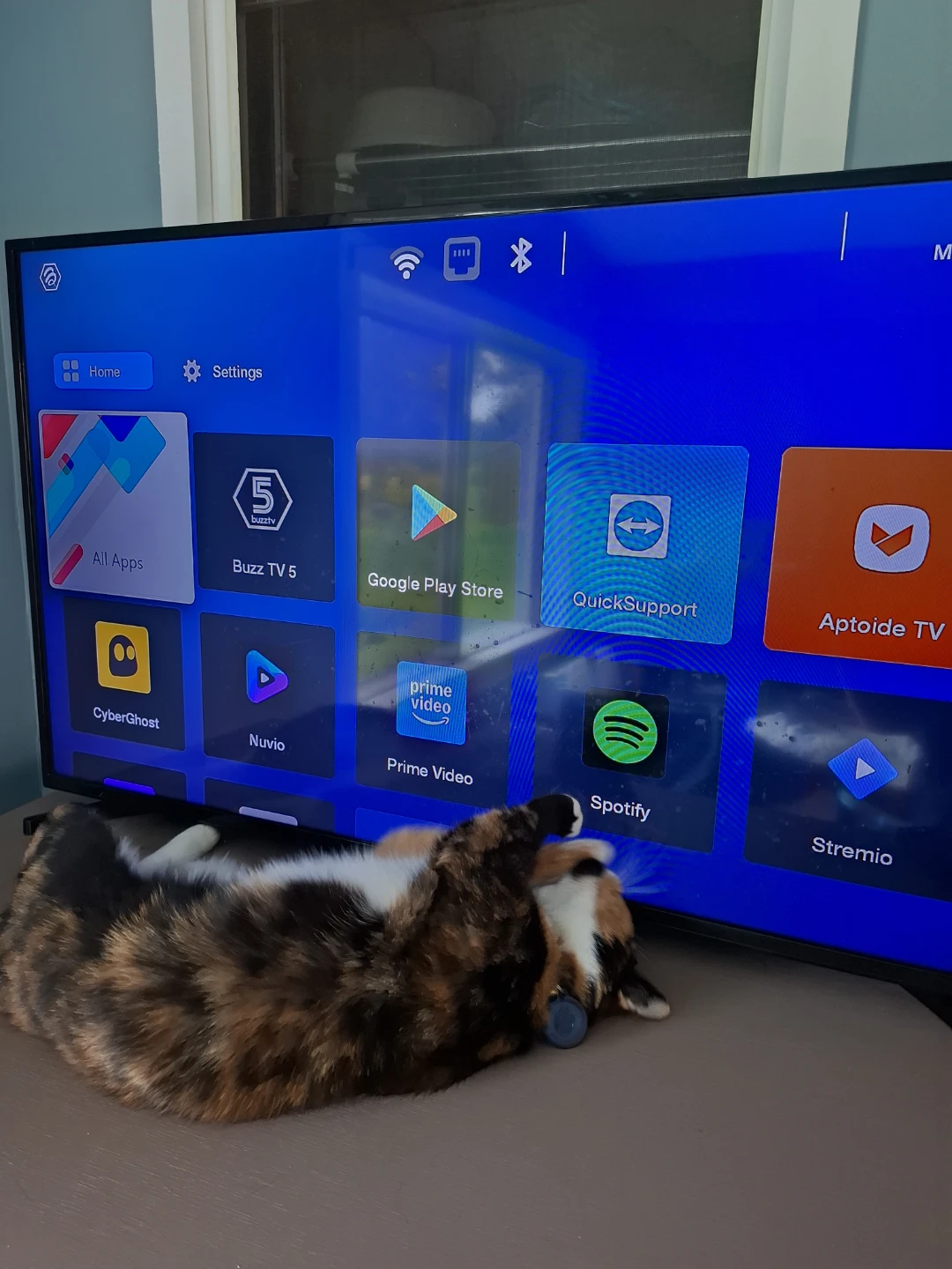 TV Box (android) BuzzTV B5 - photo 4