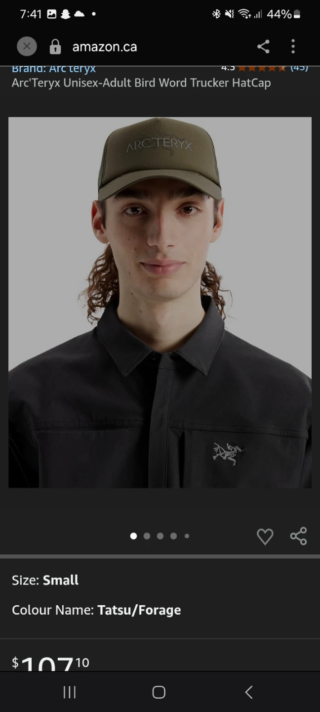 Arc'Teryx Unisex-Adult Bird cap - photo 2