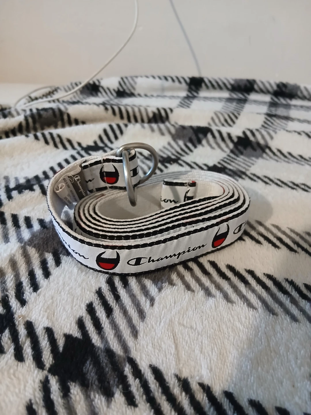 Champion White and Black Logo Belt