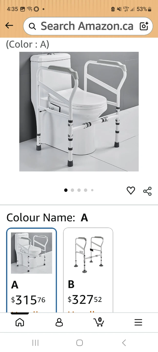 TOILET ASSIST RAIL-FOLDS - photo 4