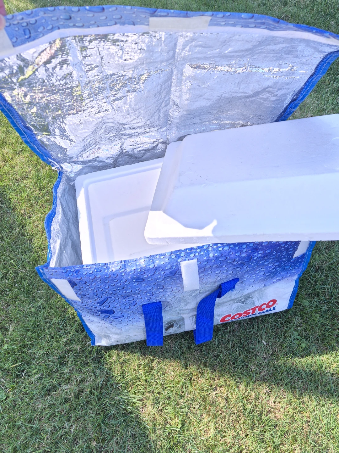 Costco Insulated Cooler Bag with Styrofoam Insert - photo 3