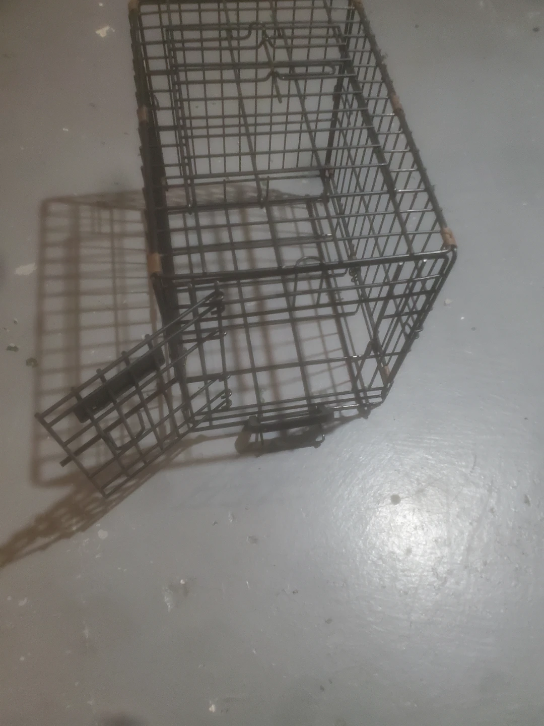 Wire Animal Trap Cage - photo 3