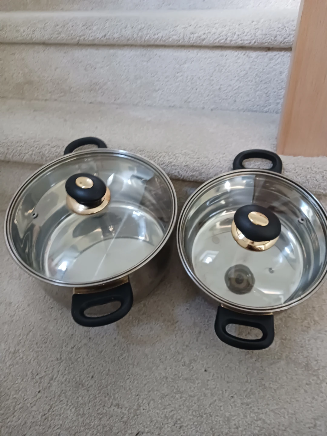 Set of 2 Stainless Steel Pots with Glass Lids