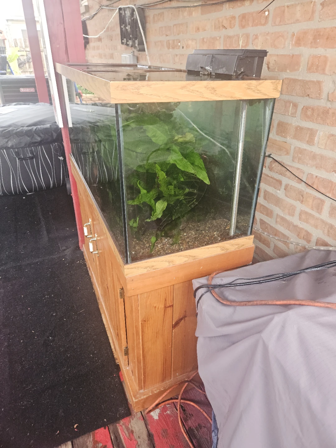 Large Aquarium with Wooden Stand - photo 5