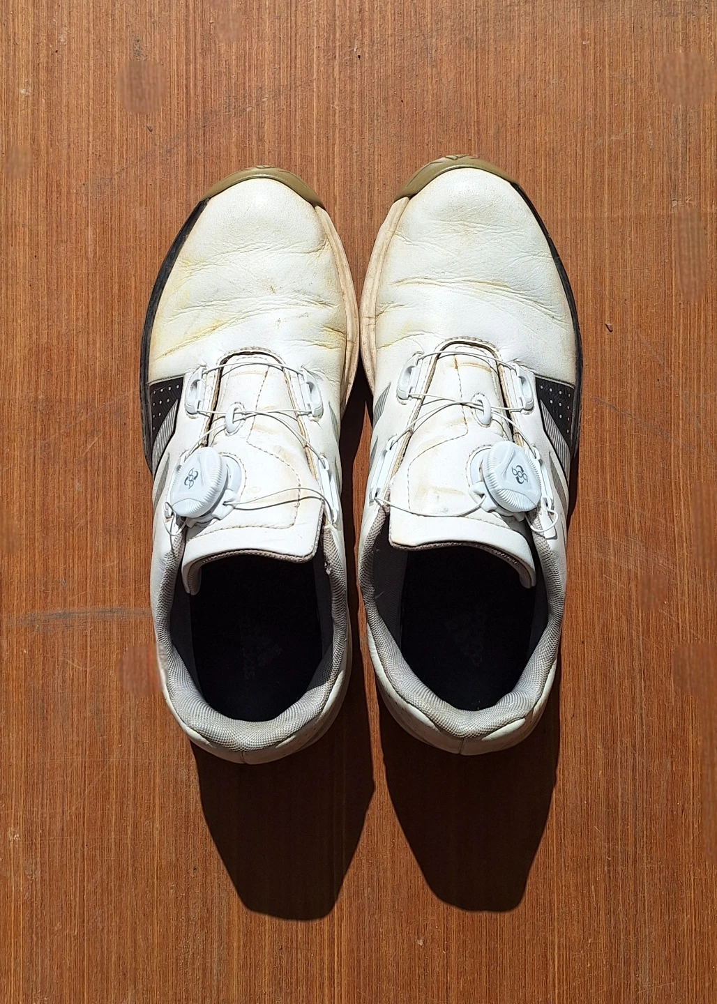 Adidas Golf Shoes (for Kit Cat Club rescue)