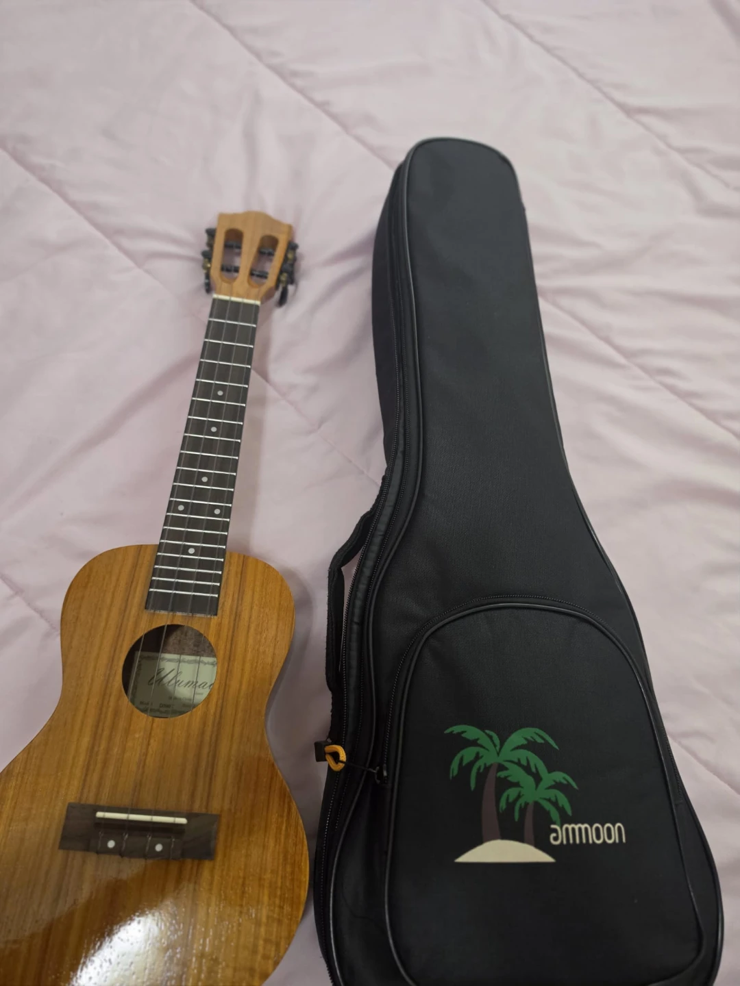 Ammoon Ukulele with Gig Bag