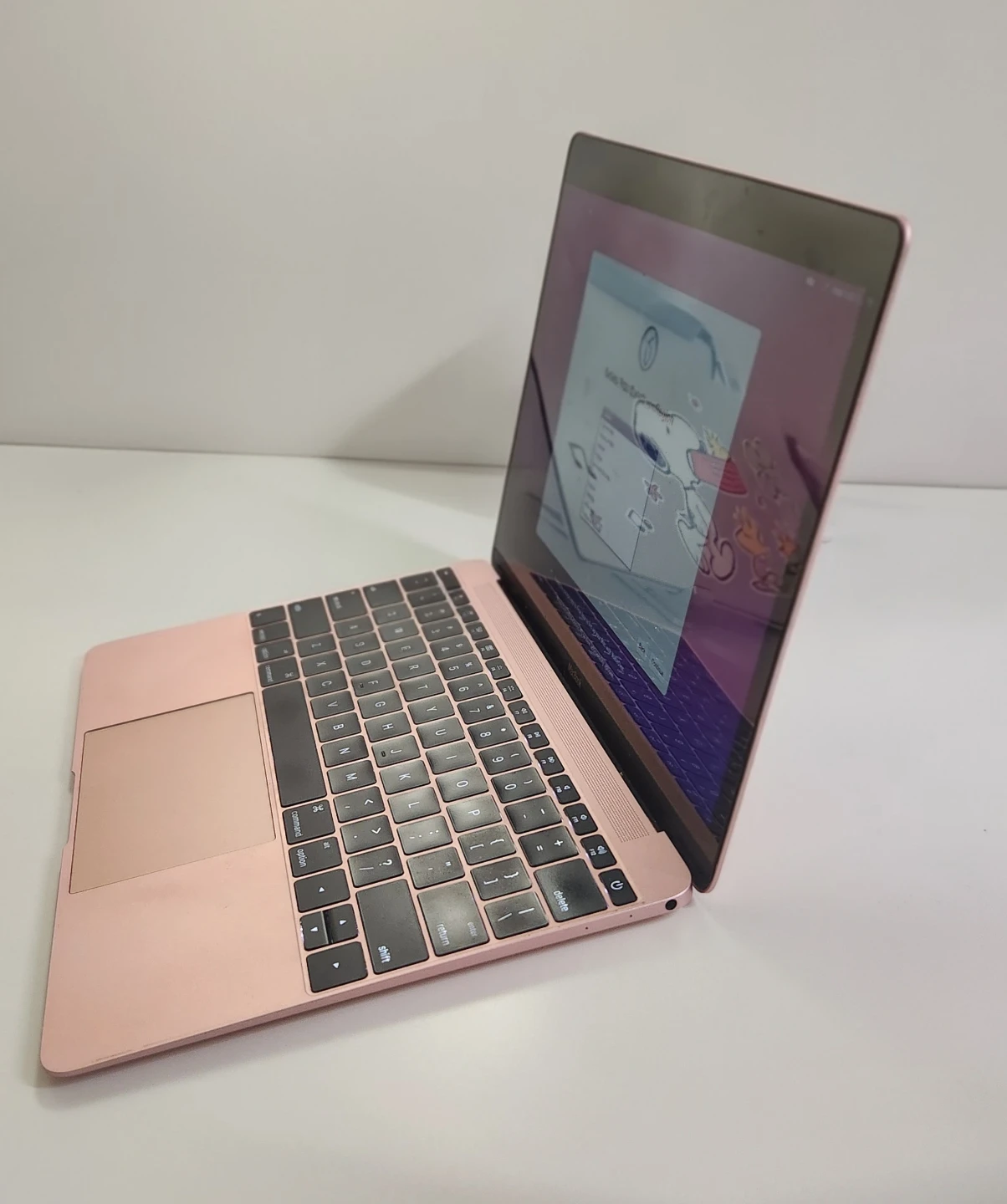 Apple MacBook (Retina, 12-inch, 2017) _ Rose gold - photo 4