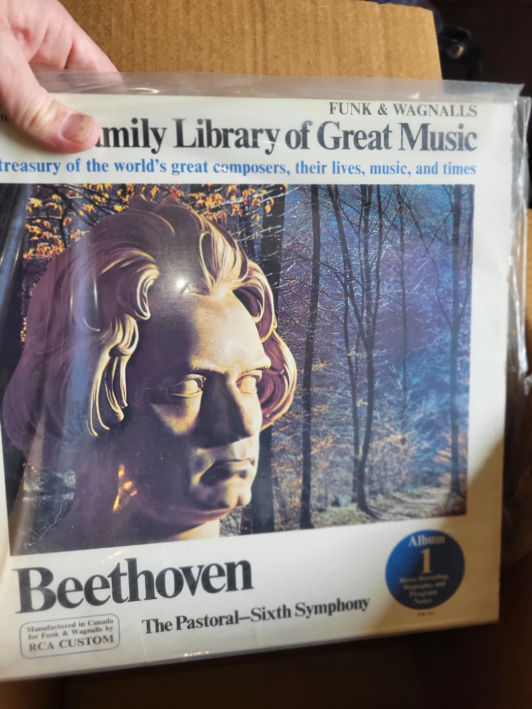Collection of Classical Vinyl Records - photo 2