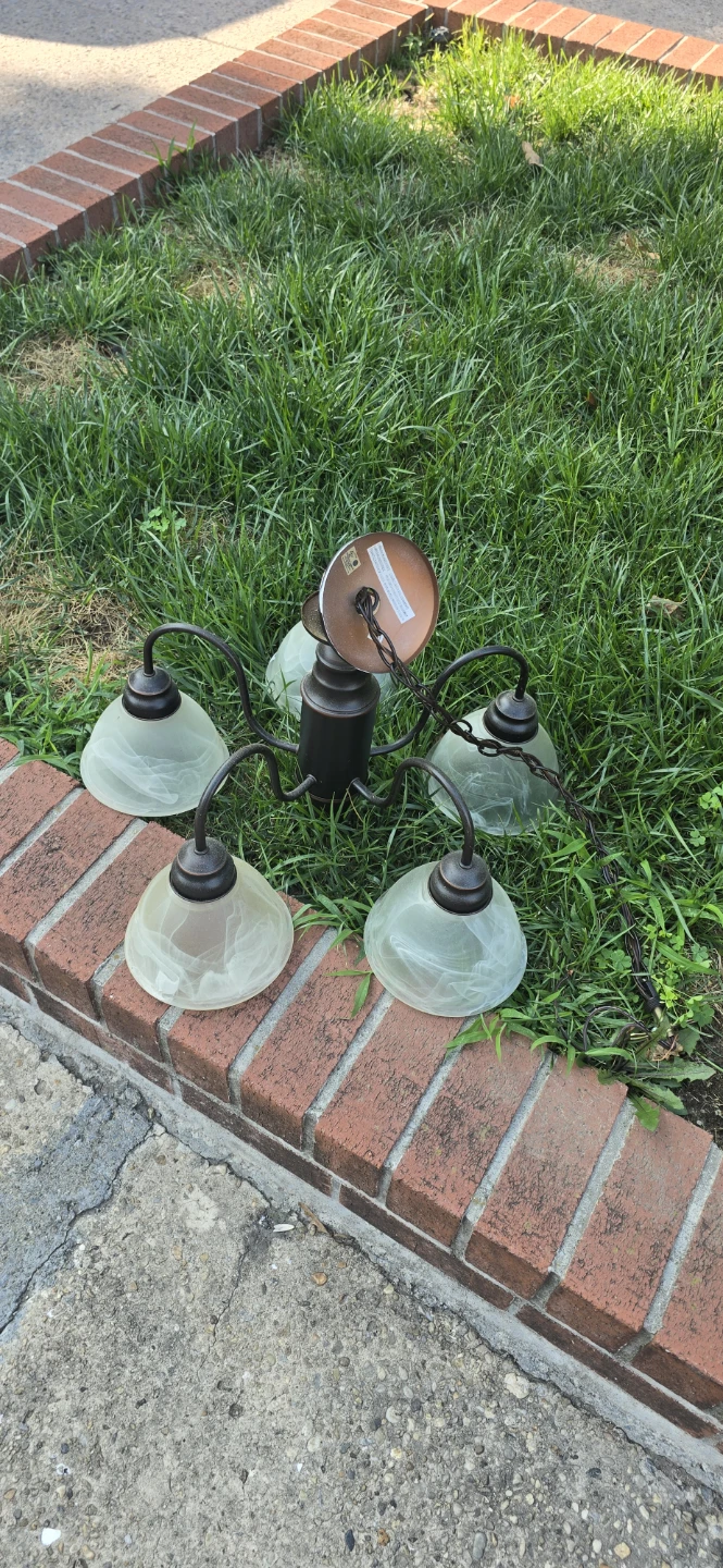5-Light Chandelier Pendant Light Fixture