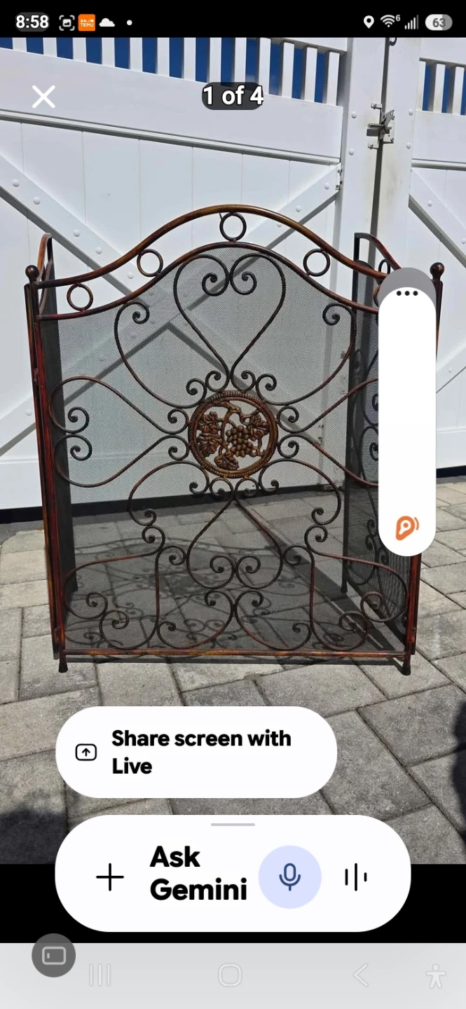 Wrought Iron Fireplace Screen with Grape Design