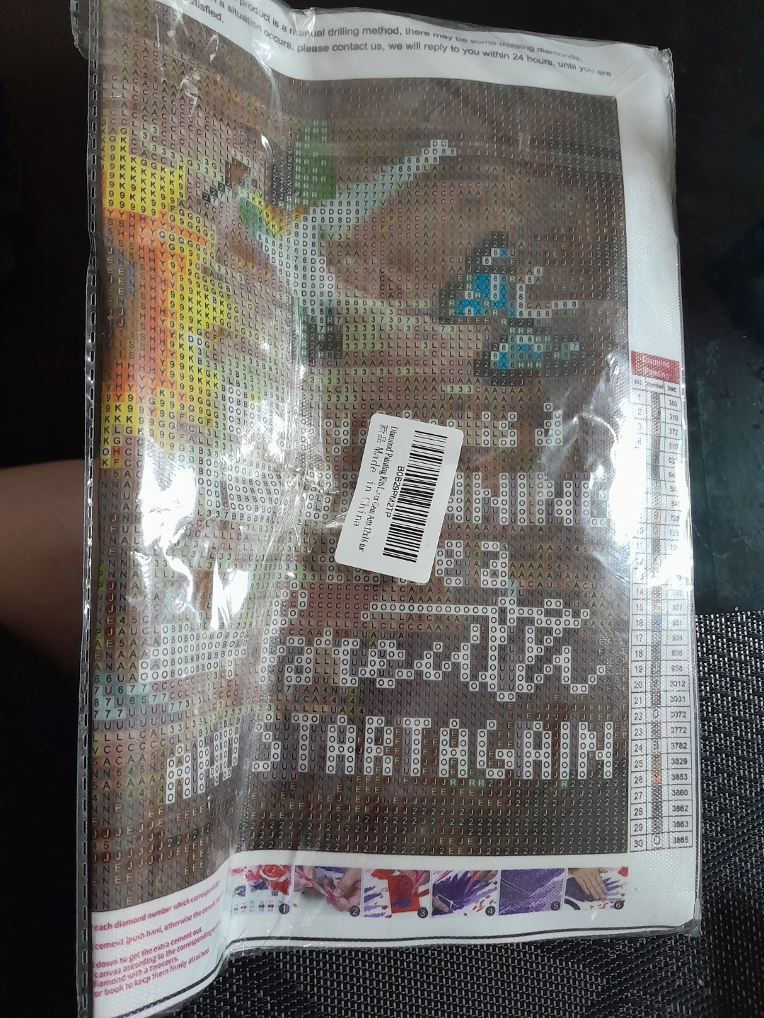 Diamond Painting Kit 40*30cm - photo 4