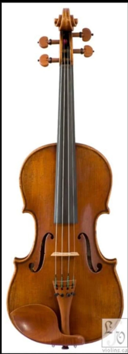 Pietro Lombardi Violin with Case and Bow - photo 3