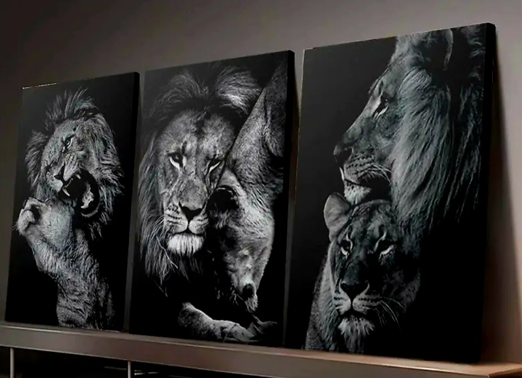 Set of 3 Framed Lion Canvas Prints