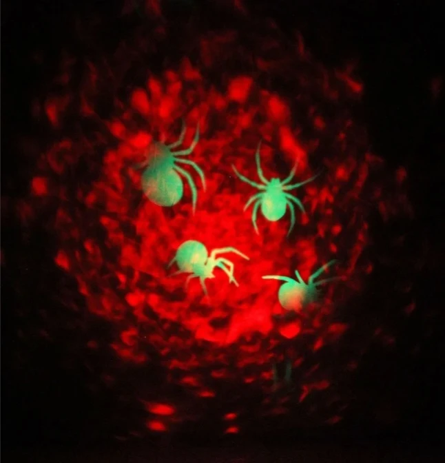 New Halloween fire & Spider outdoor Projector Light show - photo 2
