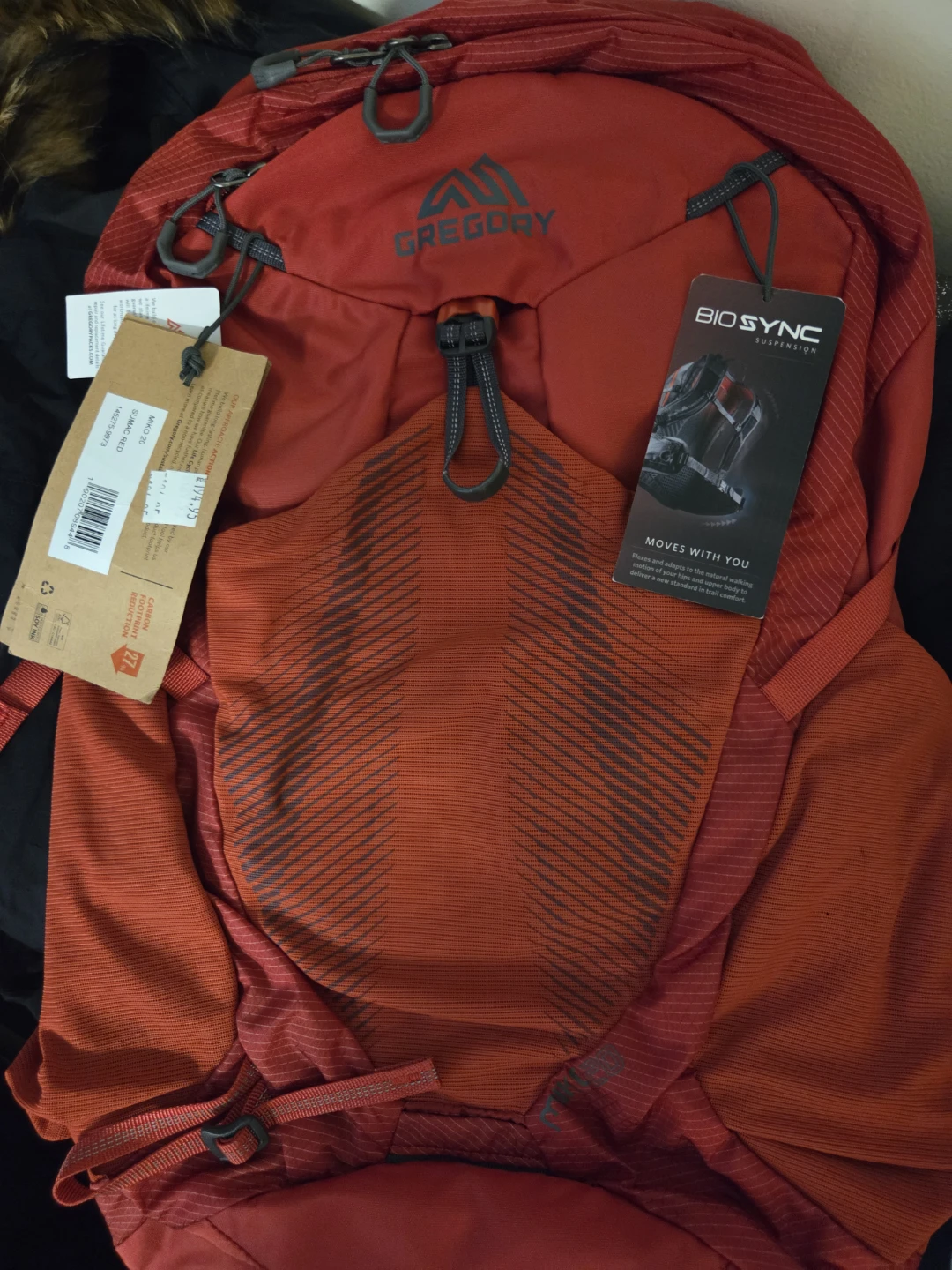 Gregory Red Backpack