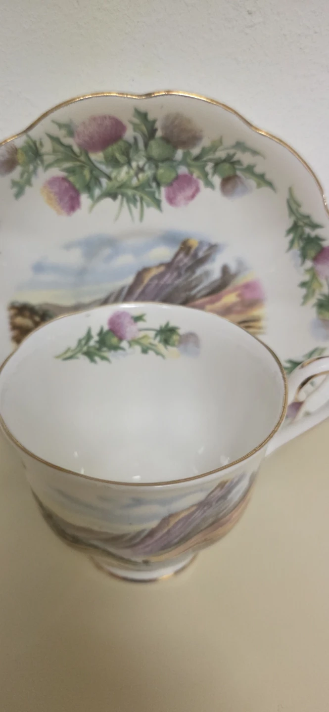 Royal Albert Bonnie Banks O' Loch tea cup and Saucer - photo 4