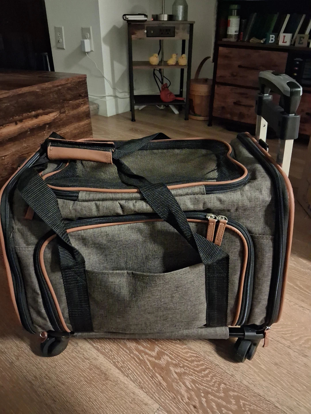 Gray Pet Carrier with Wheels