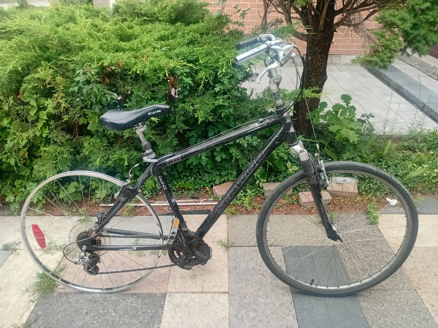 Schwinn Hybrid Bike