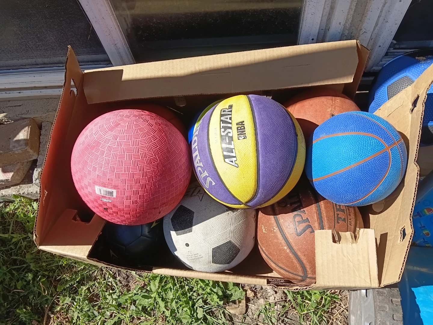 Assorted Sports Balls Bundle