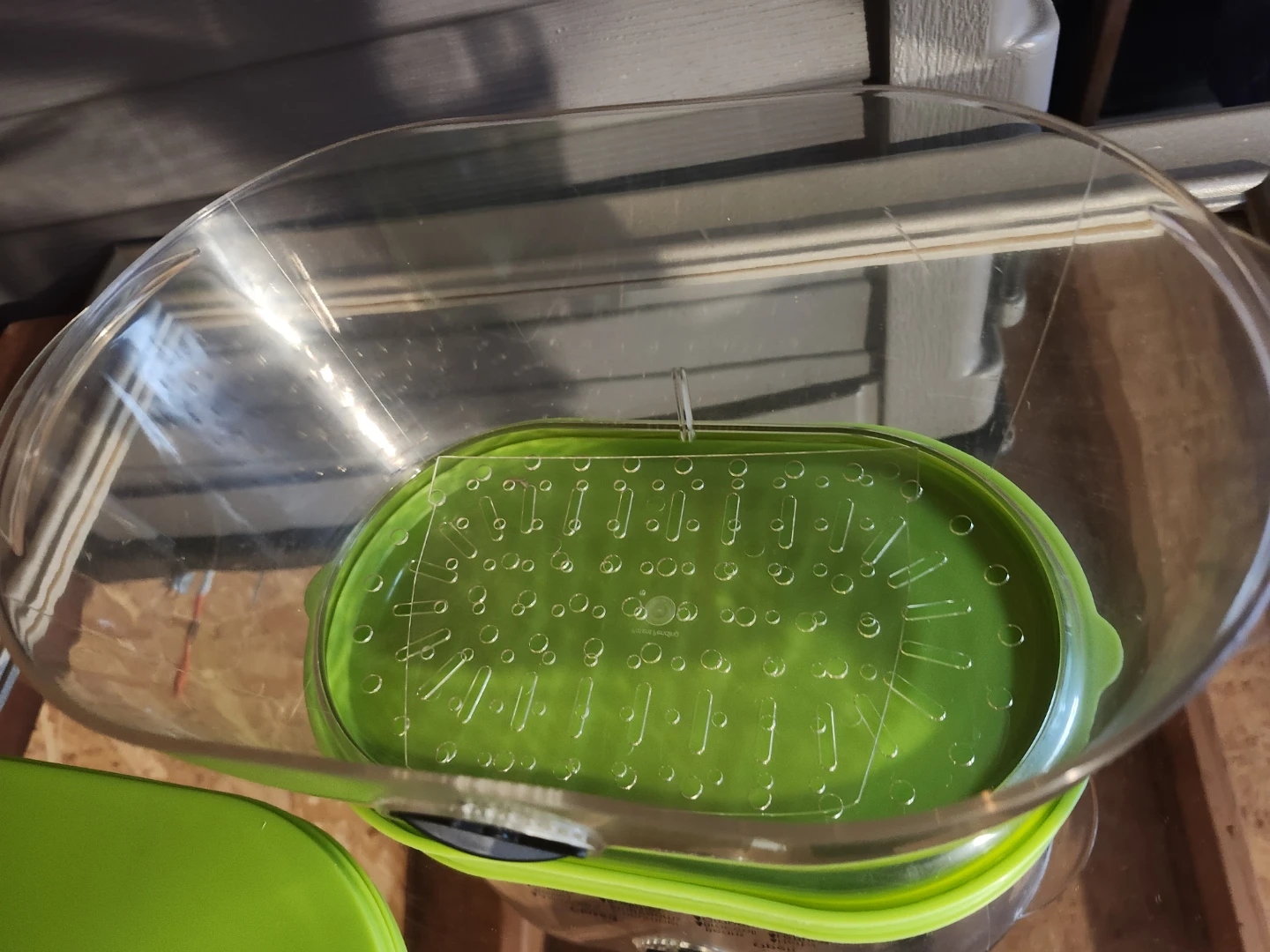 Progressive Produce Saver Container - photo 2