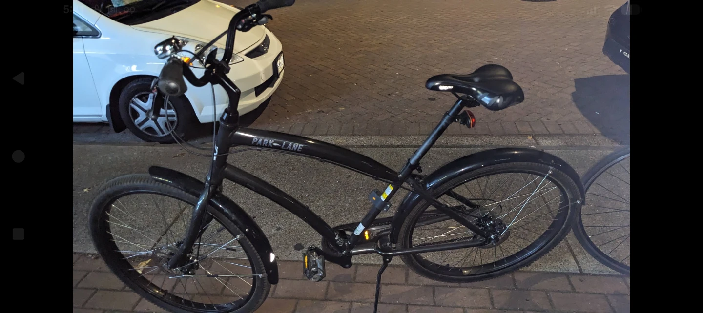 Adjustible height, tall Park Evo cruiser
