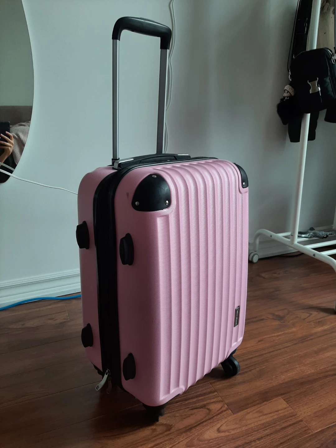 Swiss Wheels Pink Carry-On Luggage - photo 2