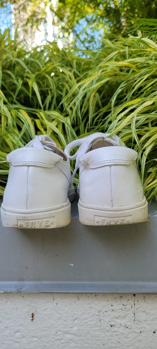 Size 8.5 womens/ 7 men's FRYE SNEAKERS - photo 5