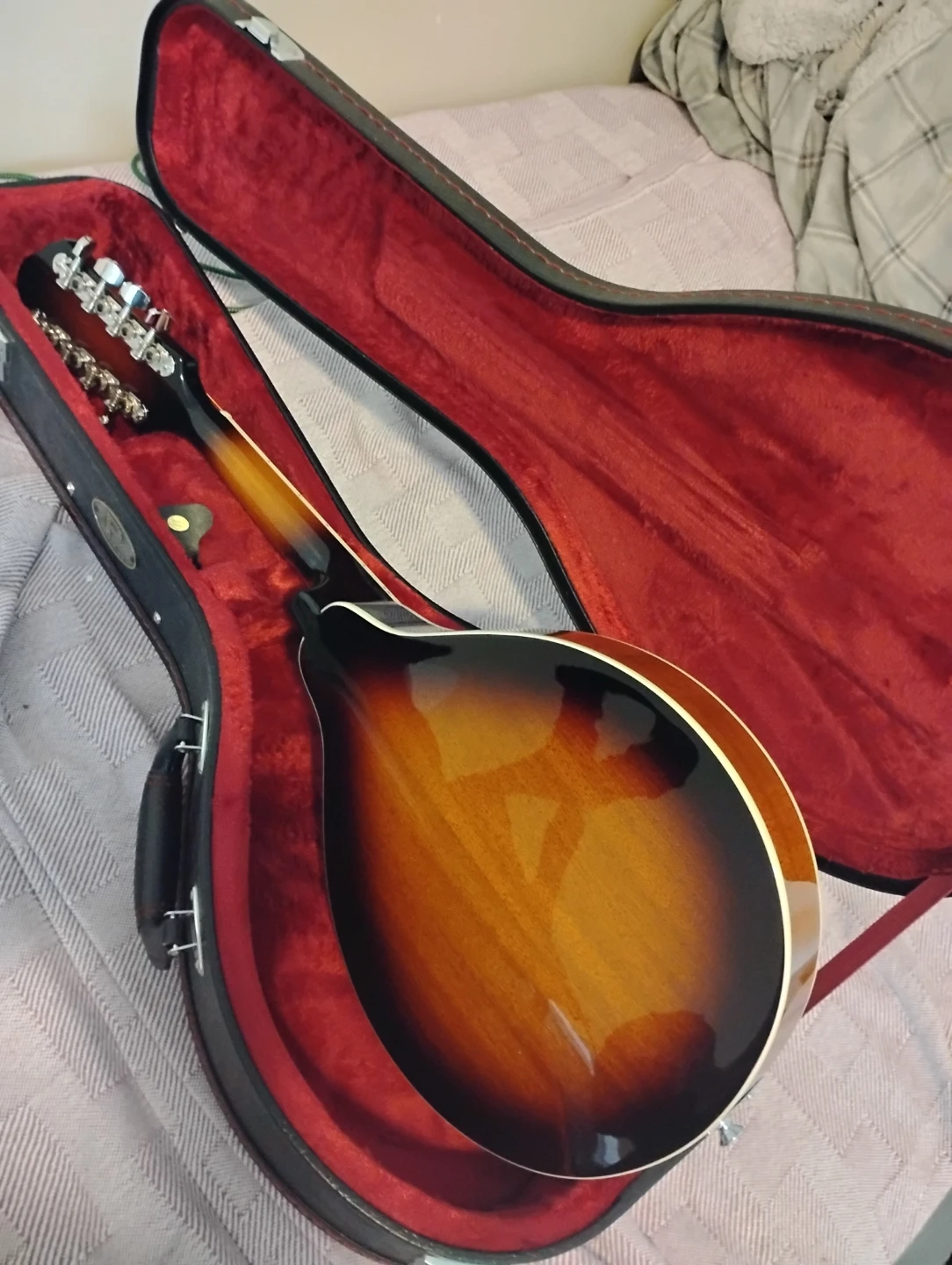 Alabama Mandolin - photo 2